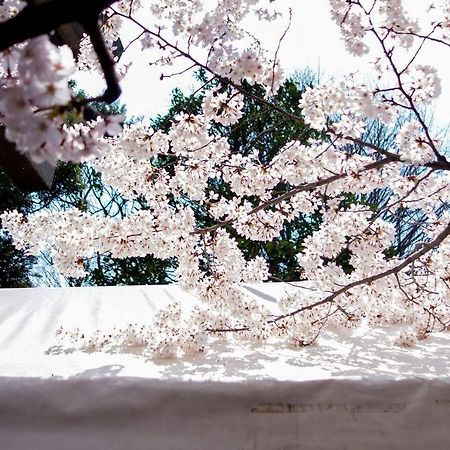 Tora Hotel Tokyo-Kitaueno 寅ホテル北上野 外观 照片