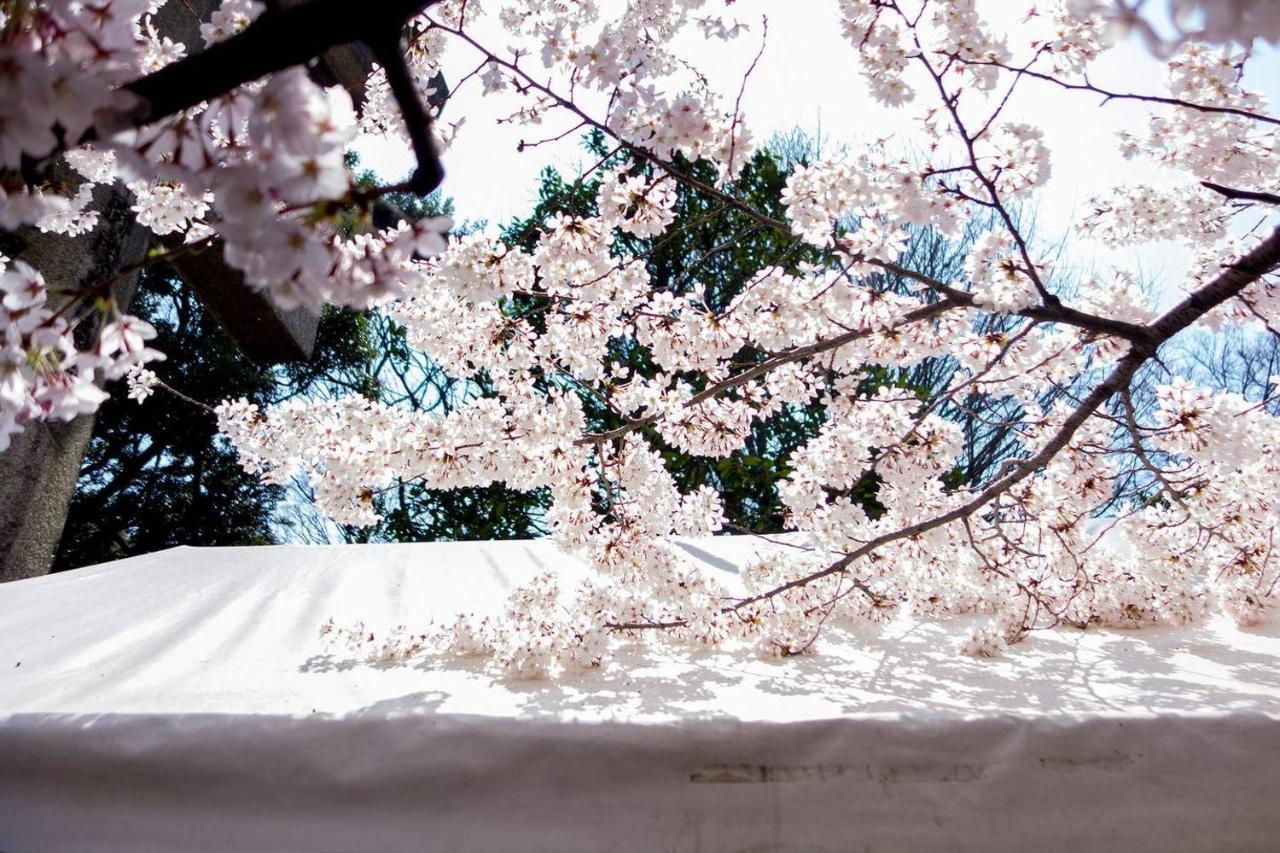 Tora Hotel Tokyo-Kitaueno 寅ホテル北上野 外观 照片